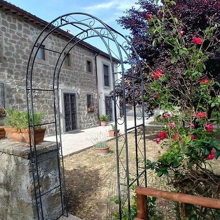 B&B Paternocchio Монтефьясконе Экстерьер фото