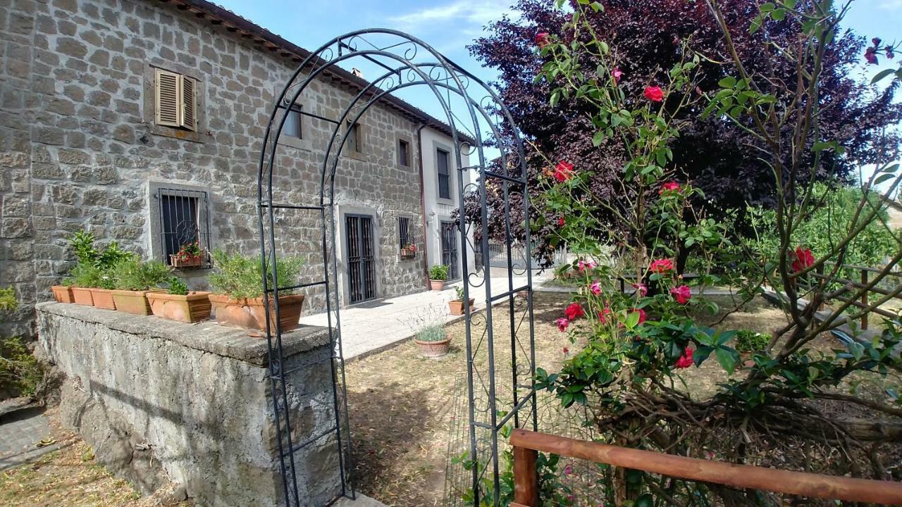 B&B Paternocchio Монтефьясконе Экстерьер фото
