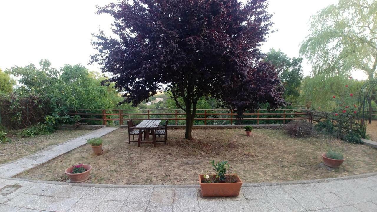 B&B Paternocchio Монтефьясконе Экстерьер фото